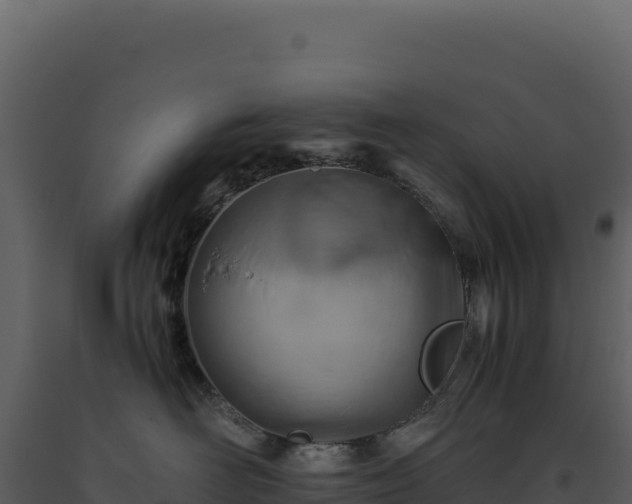 X0000093490526200710191230