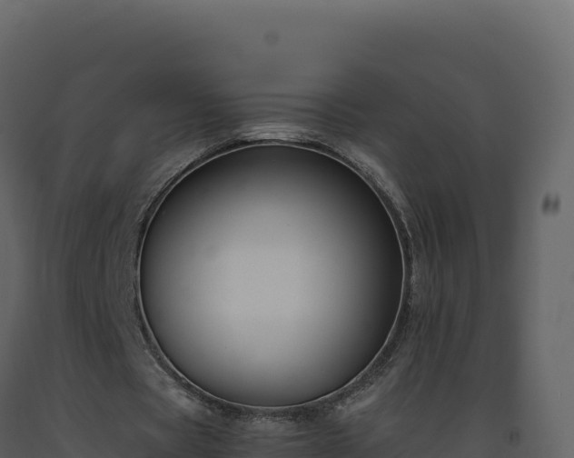 X0000093490529200710191229