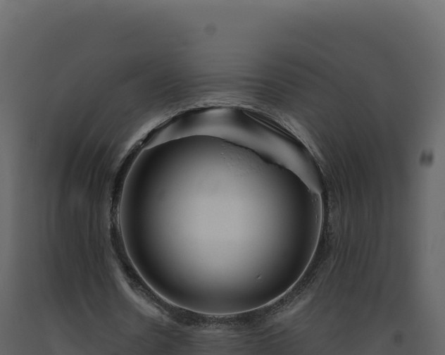 X0000093490530200710191229