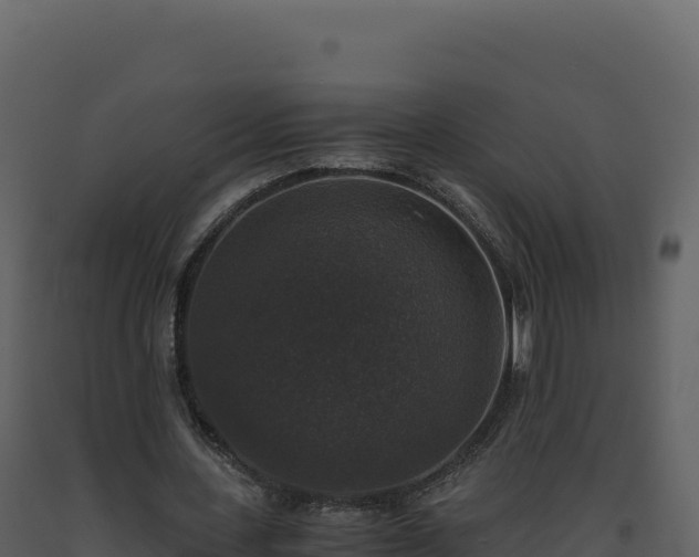 X0000093490531200710191229