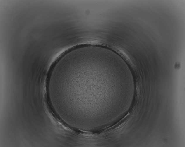 X0000093490532200710191229