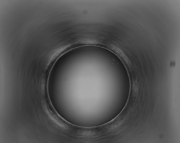 X0000093490533200710191229