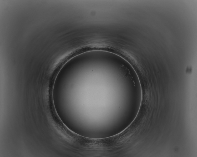 X0000093490535200710191229