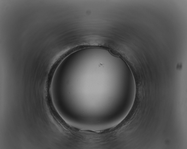 X0000093490536200710191229