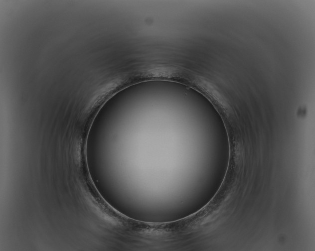 X0000093490537200710191229