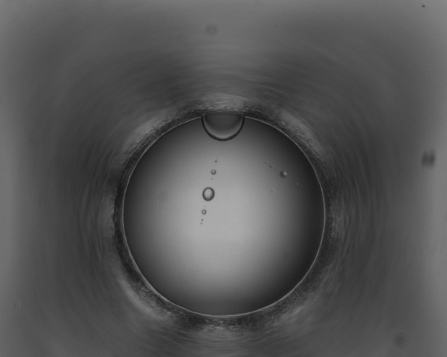 X0000093490538200710191229