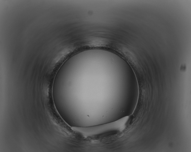 X0000093490539200710191229