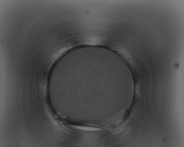 X0000093490540200710191229