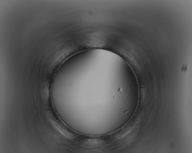 X0000093490541200710191229