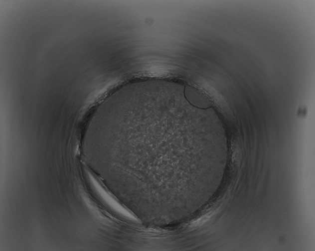 X0000093490542200710191229