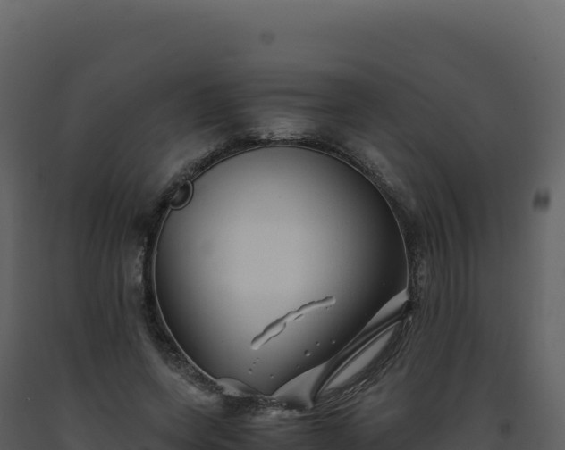 X0000093490543200710191229