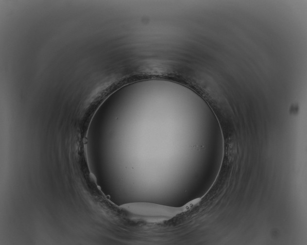 X0000093490544200710191229