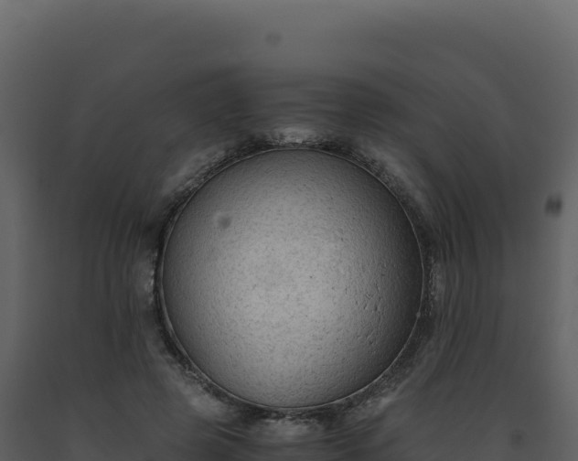 X0000093490545200710191229