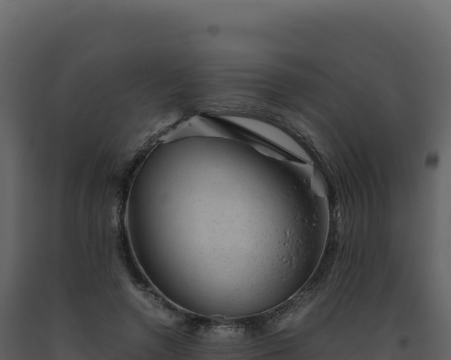 X0000093490546200710191229