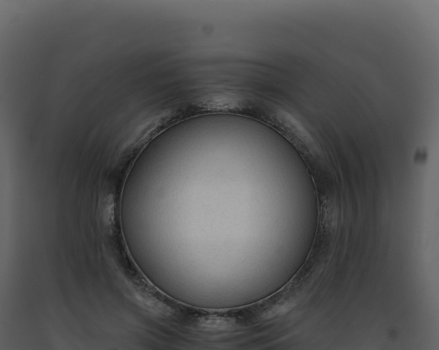 X0000093490549200710191229