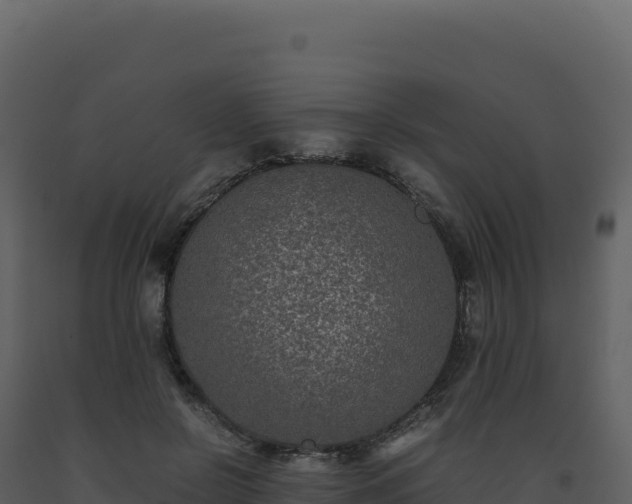 X0000093490550200710191229