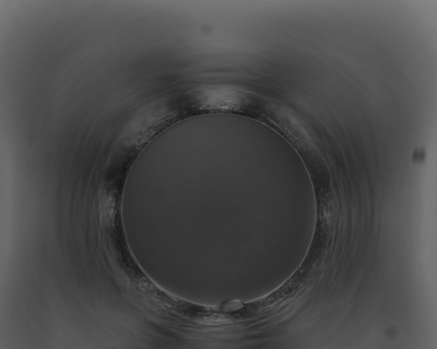 X0000093490551200710191229