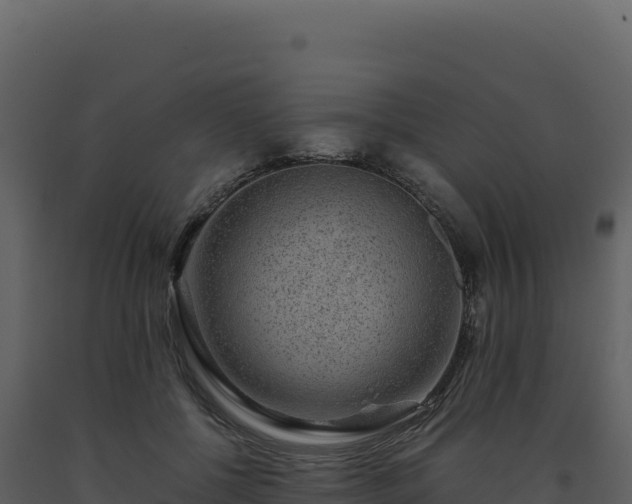 X0000093490552200710191229