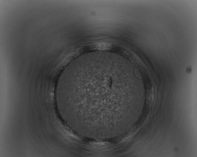 X0000093490553200710191229