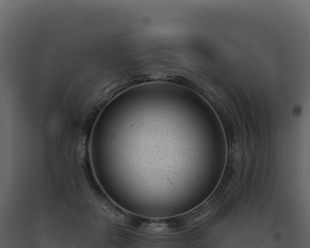 X0000093490554200710191229