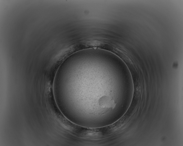 X0000093490555200710191229