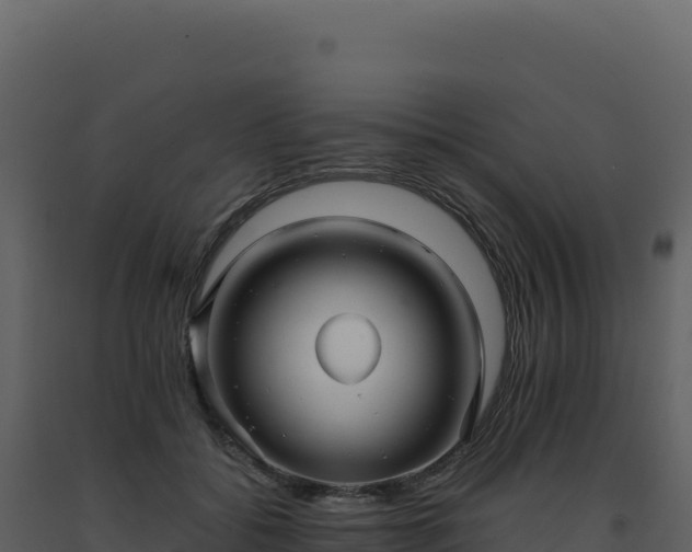 X0000093490556200710191229