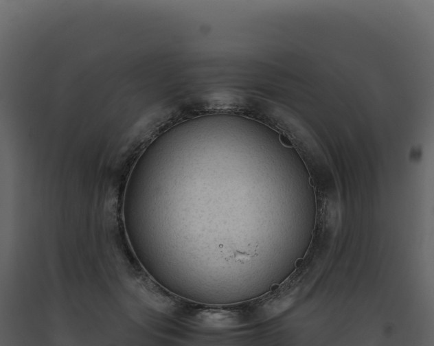 X0000093490557200710191229