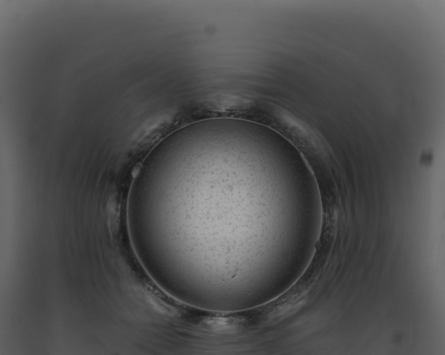 X0000093490558200710191229