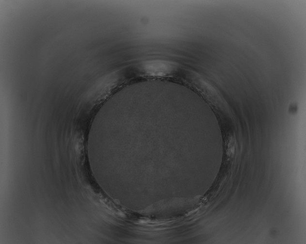 X0000093490559200710191229