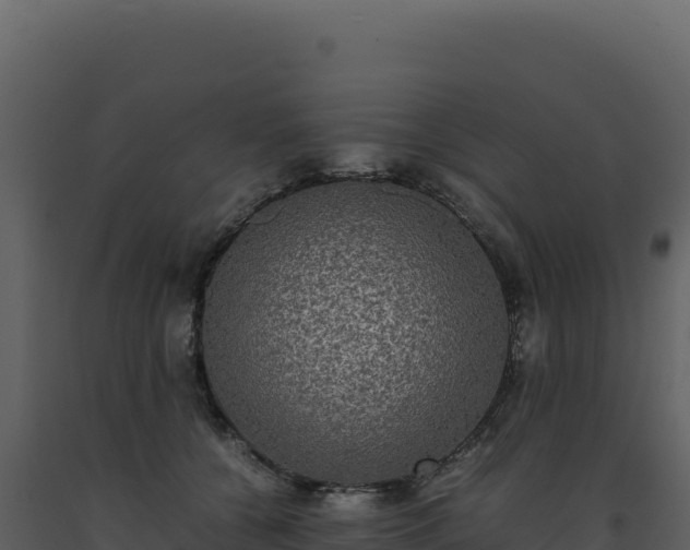 X0000093490560200710191229