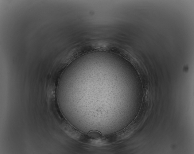 X0000093490561200710191229