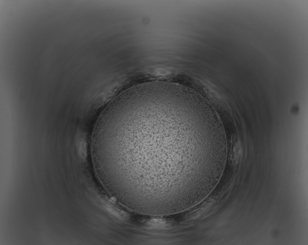 X0000093490562200710191229