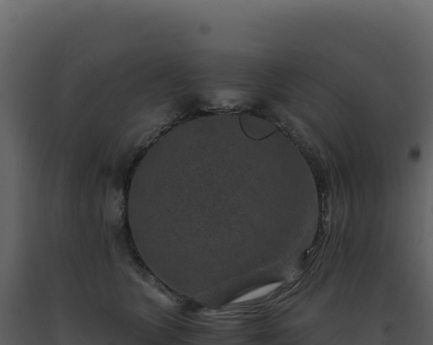 X0000093490563200710191229