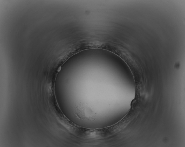 X0000093490564200710191229