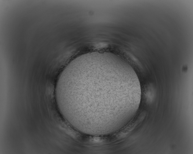 X0000093490565200710191229