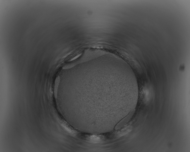 X0000093490566200710191229