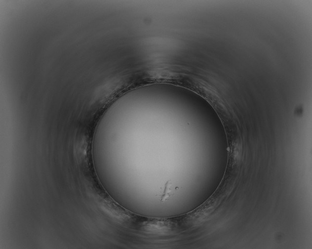 X0000093490567200710191229