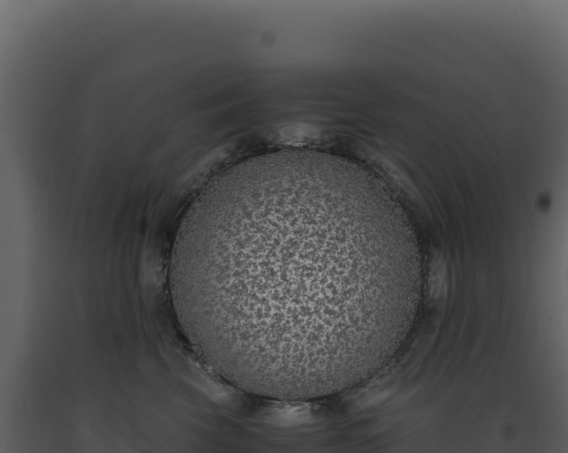 X0000093490569200710191229