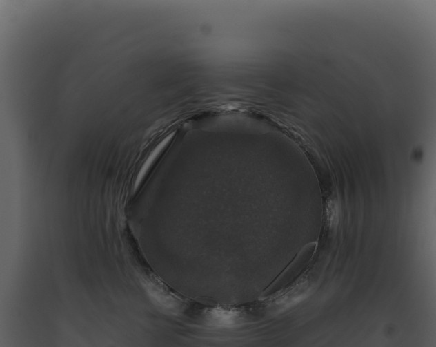 X0000093490570200710191229