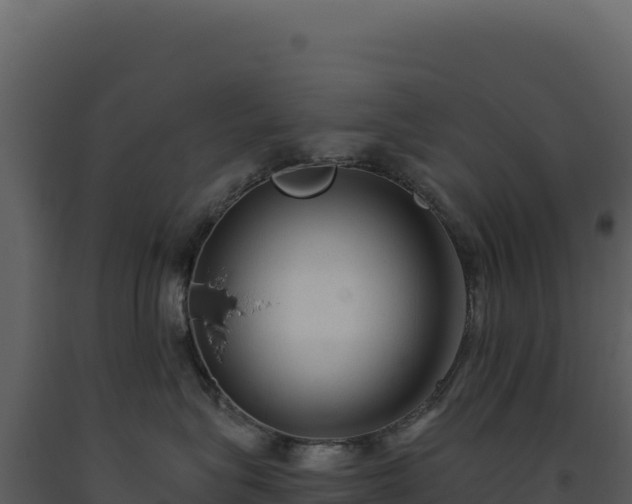 X0000093490575200710191230