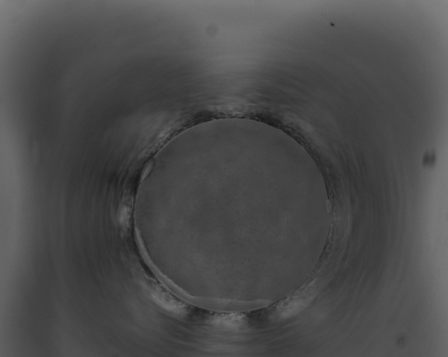 X0000093490576200710191230