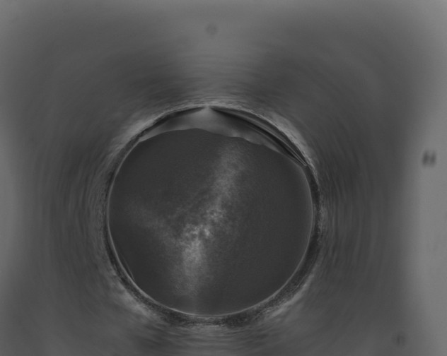 X0000093490577200710191229