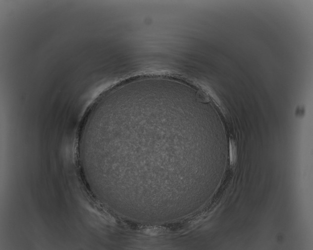 X0000093490579200710191229