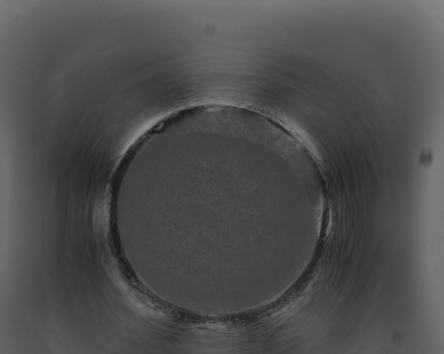 X0000093490580200710191229