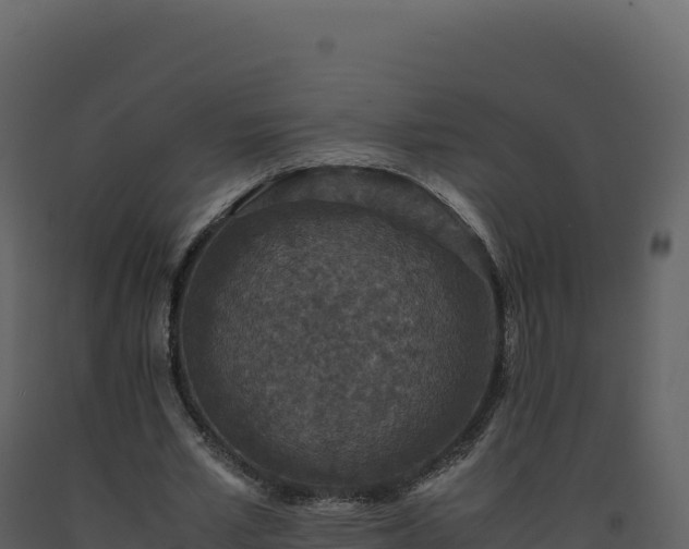 X0000093490581200710191229