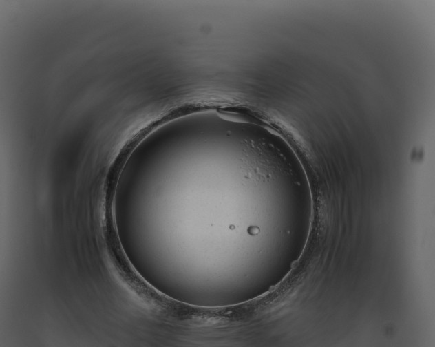 X0000093490582200710191229