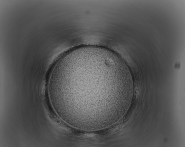 X0000093490583200710191229