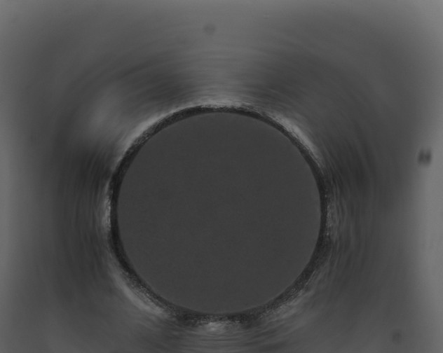 X0000093490584200710191229