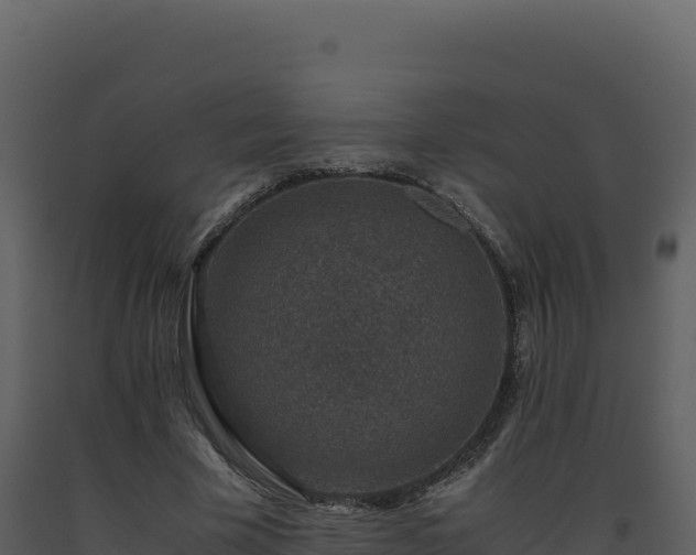 X0000093490585200710191229