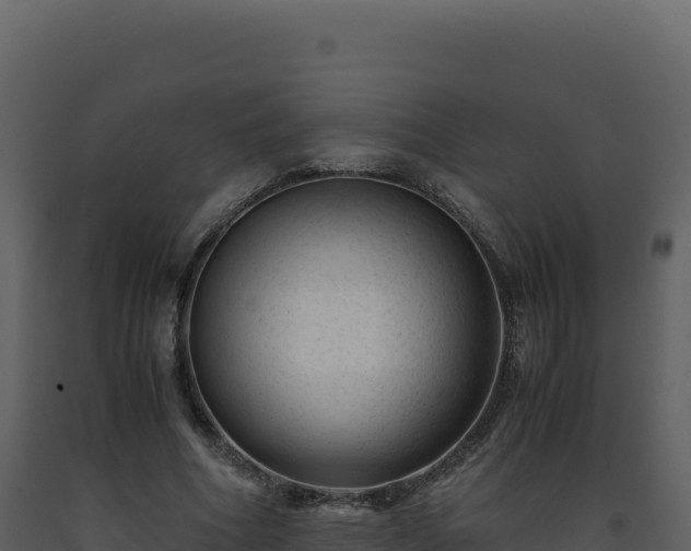 X0000093490586200710191229